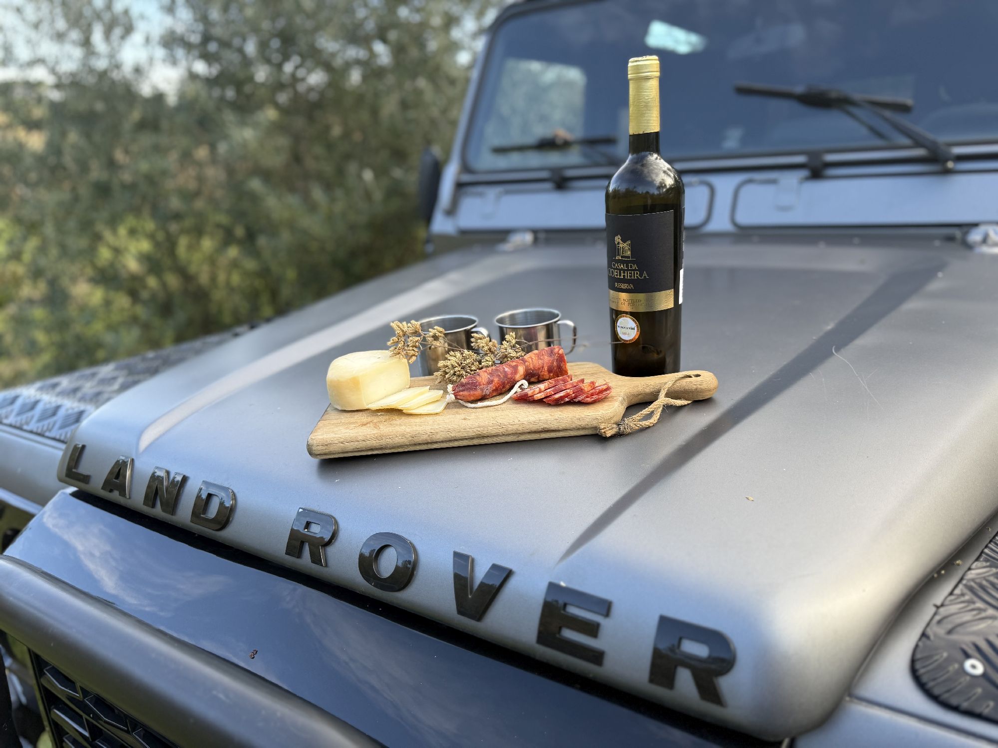 Defender life 1 Defender life